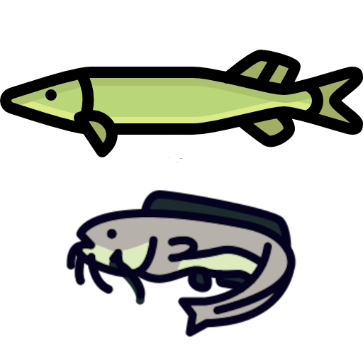 Spinningista HG19 für Hecht, Waller & Huchen